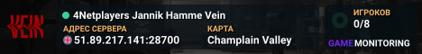 4Netplayers Jannik Hamme Vein
