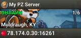 My PZ Server