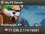 My PZ Server