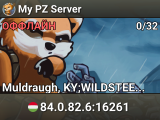My PZ Server
