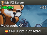 My PZ Server
