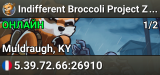 Indifferent Broccoli Project Zomboid Server
