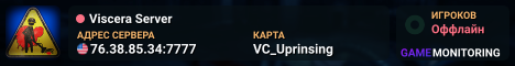 Viscera Server