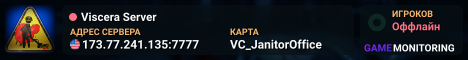 Viscera Server