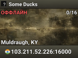 Some Ducks