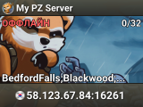 My PZ Server