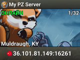 My PZ Server