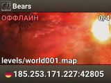 Bears