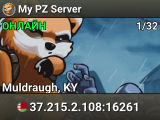 My PZ Server