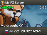 My PZ Server