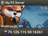 My PZ Server