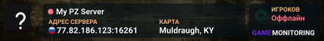 My PZ Server