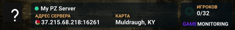 My PZ Server