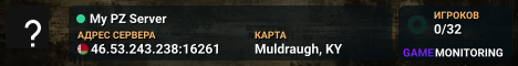 My PZ Server