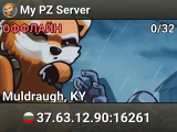 My PZ Server