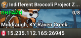 Indifferent Broccoli Project Zomboid Server