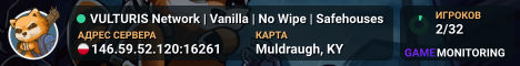 VULTURIS Network | Vanilla | No Wipe | Safehouses