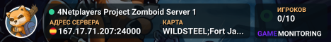 4Netplayers Project Zomboid Server 1
