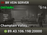 BR VEIN SERVER