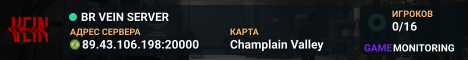 BR VEIN SERVER