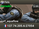 Fin's