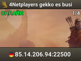 4Netplayers gekko es busi