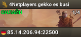 4Netplayers gekko es busi