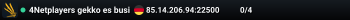4Netplayers gekko es busi