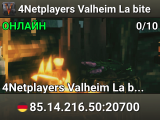 4Netplayers Valheim La bite