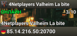 4Netplayers Valheim La bite