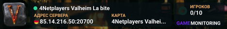 4Netplayers Valheim La bite