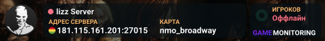 lizz Server