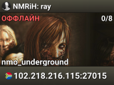 NMRiH: ray