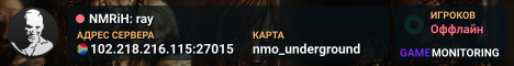 NMRiH: ray