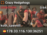 Crazy Hedgehogs