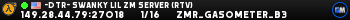 -DTR- Swanky Lil ZM Server (RTV)