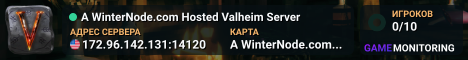 A WinterNode.com Hosted Valheim Server