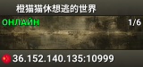 橙猫猫休想逃的世界