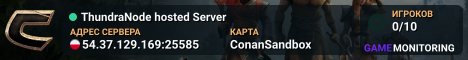 ThundraNode hosted Server