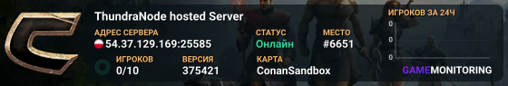 ThundraNode hosted Server