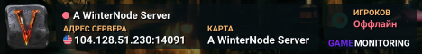 A WinterNode Server