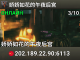 娇娇如花的午夜后宫