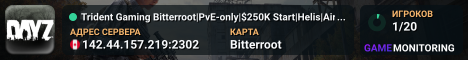 Trident Gaming Bitterroot|PvE-only|$250K Start|Helis|Airplanes