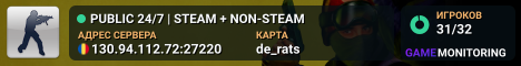 PUBLIC 24/7 | STEAM + NON-STEAM