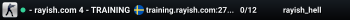 - rayish.com 4 - TRAINING