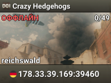Crazy Hedgehogs