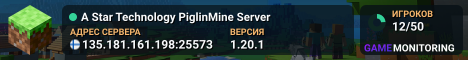 A Star Technology PiglinMine Server