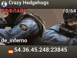 Crazy Hedgehogs