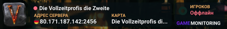 Die Vollzeitprofis die Zweite