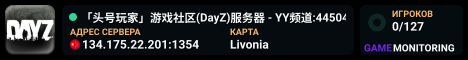 「头号玩家」游戏社区(DayZ)服务器 - YY频道:44504